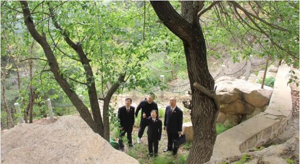 公益诉讼让濒危野生植物“绝处逢生”