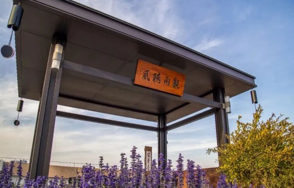 登望青台